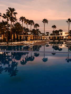 Palm trees and sun loungers reflected in still resort pool at sunset with soft pink sky.