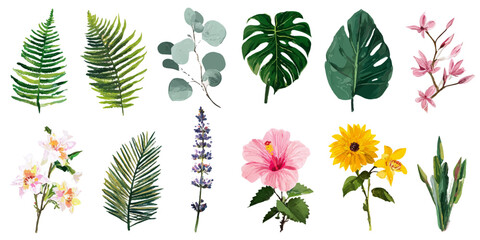 Collection of tropical plants and flowers isolated on white background for design