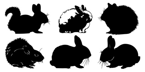 Six black silhouette illustrations of different rabbit breeds and poses on a white background