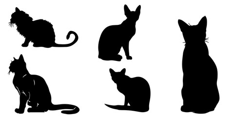 Collection of  black cat silhouettes in various poses on a white background