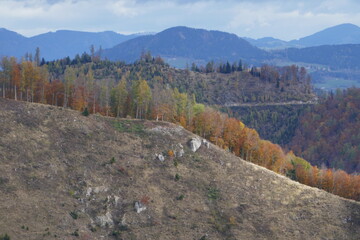 Autumn landscape . Herbstlandschaft