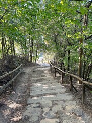 a path between trees, a road in the forest, a stone road