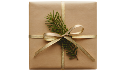 Festive brown paper wrapped gift box tied with a golden ribbon and decorated with a fresh green fir branch isolated on transparent background