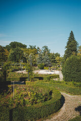 landscape in the park