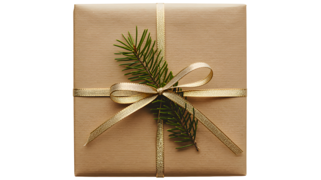Festive brown paper wrapped gift box tied with a golden ribbon and decorated with a fresh green fir branch isolated on transparent background