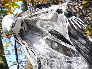 Spooky Halloween garden decoration- spooky skeleton man in a tree
