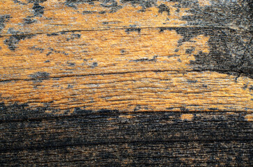 Obraz premium Close-up of weathered wood texture with natural grain and color variations