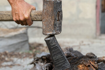 A man is trying to split a large stump.Harvesting firewood for the winter cold period.
