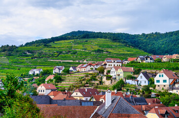 Houses on the hillside in Weißenkirchen in der Wachau, Austria