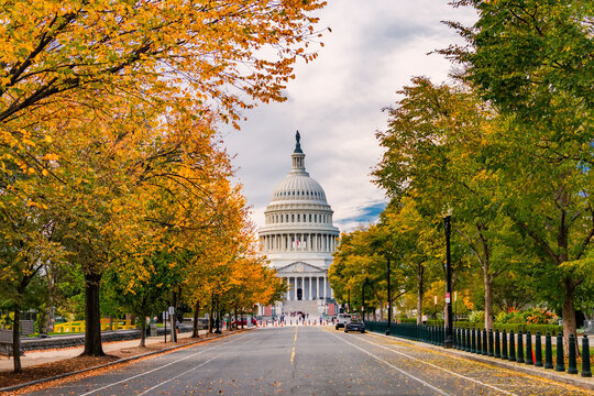 United States Capitol building framed by autumn trees in Washington DC - Powered by Adobe