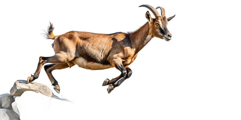 Agile goat jumping isolated on transparent background, a symbol of resilience