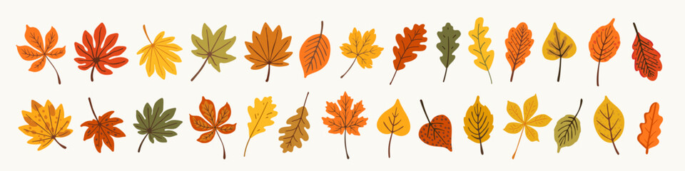 Naklejka premium Autumn leaves vector set with cute illustrated fall foliage in orange, yellow, red, and green tones. Hand-drawn cozy leaf collection for seasonal design, posters, packaging, and greeting cards