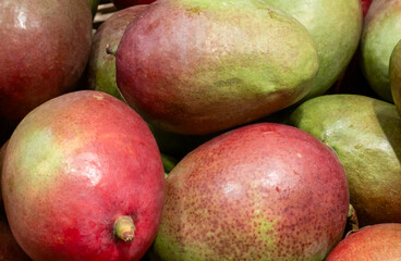 Close up of fresh ripe red and green mangoes