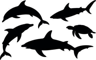 Silhouettes of marine life including dolphins, sharks, and a turtle.