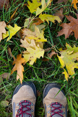 Close-up of hiking boots on forest path with autumn leaves. Fall season outdoor activities, trekking, and nature walk concept. Seasonal footwear and foliage.