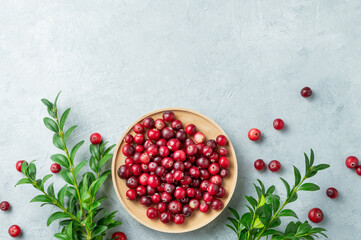 Creative layout of fresh cranberries in a wooden bowl on a light background with green branch.