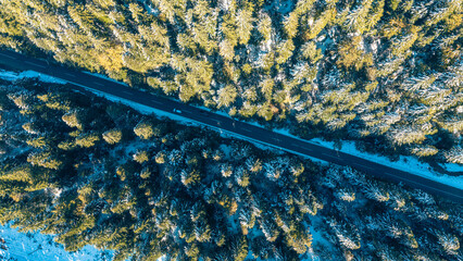 Top view of a mountain road cutting through a forest of green and snowy pine trees under winter sunlight