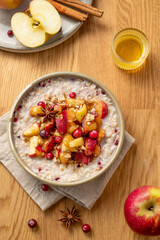  Overnight oatmeal with apple, cranberry and cinnamon in a plate on a wooden background with honey