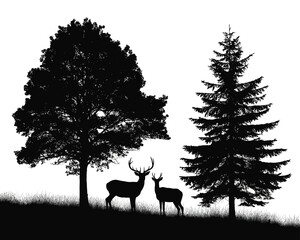 Deer Family Silhouettes in Forest Landscape against White Background