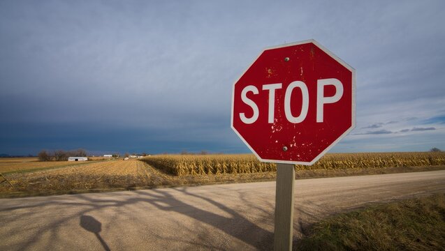 Traffic stop sign at rural intersection countryside photography open field eye-level road safety awareness