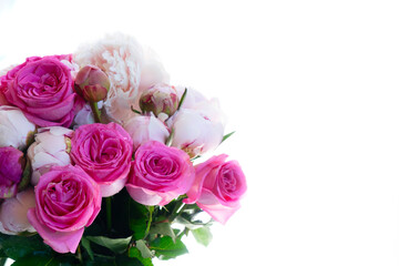 Fresh peonies flowers