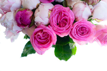 Fresh peonies flowers