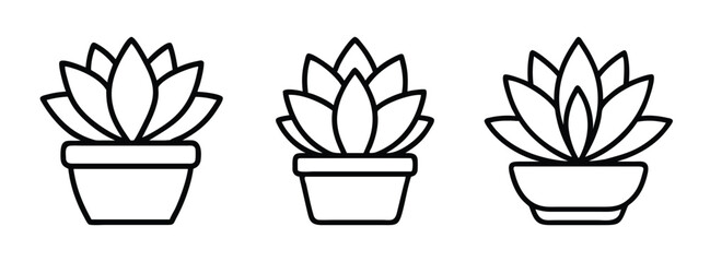 Potted succulent plants vector illustration, outline drawing of indoor plant for graphic design and art projects © PURE VECTOR WORK