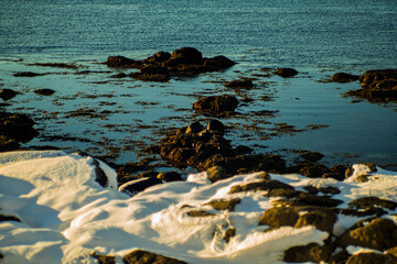 Snowy coastal rocks and seaweed at low tide