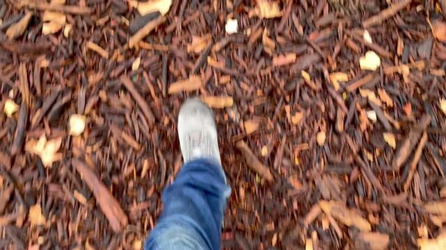 Pasos y pisadas en hojas, ramas y hojarasca de oto&ntilde;o por el bosque con botas de trekking y monta&ntilde;a a trav&eacute;s del camino