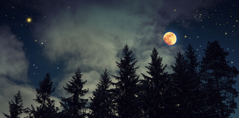Full moon and abstract stars sky in winter forest landscape.
