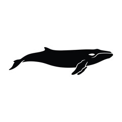 Obraz premium Fin Whale Sleek Silhouette Vector