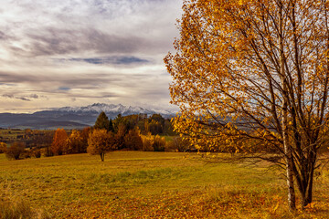 Naklejka premium Autumn mountain landscape filled with golden and red tones, trees in fall foliage, and warm light. A picturesque scene of autumn in nature.