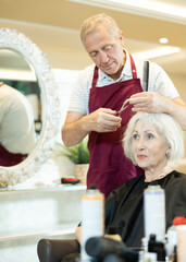 Focused experienced male hairstylist cutting hair of elderly silver-haired female client with...