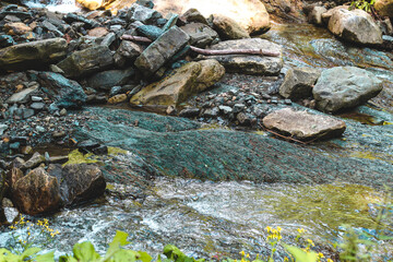 Nature stream with colorful rocks and flowing water in a serene forest setting