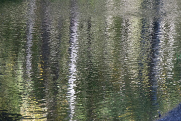 Reflections