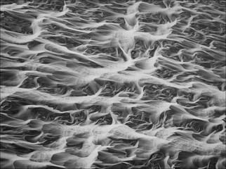 Braided River in Monochrome