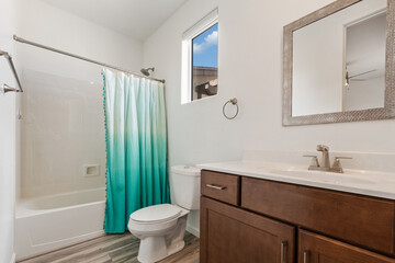 This is a bathroom that contains a toilet, sink, bathtub, and a shower curtain