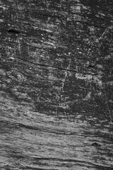 Close up of intricate patterns in the natural bark texture of a weathered tree, black and white old tree lines