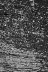 Close up of intricate patterns in the natural bark texture of a weathered tree, black and white old tree lines