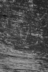 Close up of intricate patterns in the natural bark texture of a weathered tree, black and white old tree lines