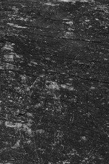 Close up of intricate patterns in the natural bark texture of a weathered tree, black and white old tree lines