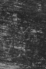 Close up of intricate patterns in the natural bark texture of a weathered tree, black and white old tree lines