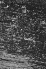 Close up of intricate patterns in the natural bark texture of a weathered tree, black and white old tree lines
