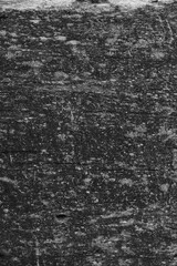 Close up of intricate patterns in the natural bark texture of a weathered tree, black and white old tree lines