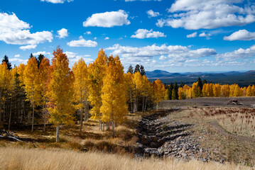 autumn in the mountains