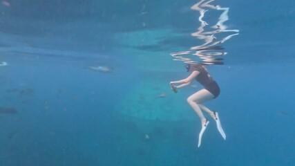 A couple explores the ocean, swimming among vibrant marine life