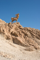 Mountain peak in Chebika oasis with sculpture of mountain goat. Tunisia