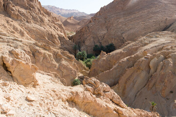 Beautiful eroded hills at Chebika canyon with palm trees. Tunisia