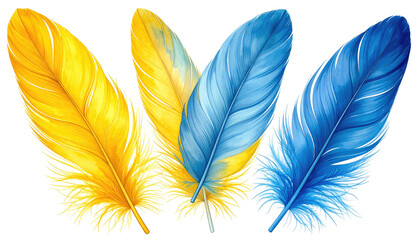 Fototapeta premium Three vividly colored feathers, one yellow, two blue, arranged closely together on a transparent background