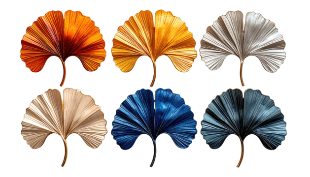 Six ginkgo biloba leaves in varied, rich hues arranged against a black background in two rows of three